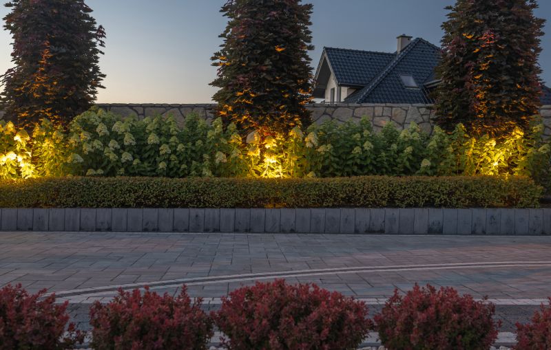 Driveway Paving