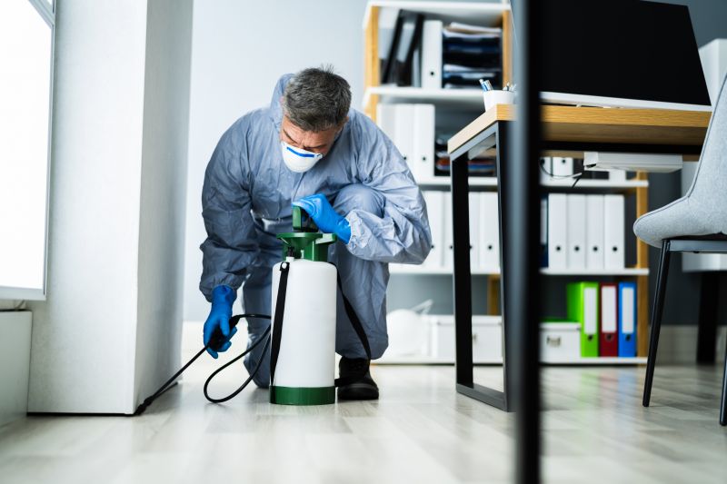 Bug Extermination Service
